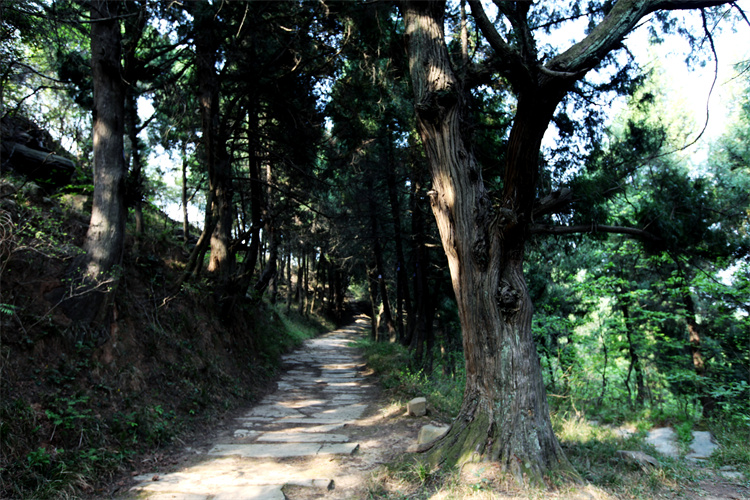 古蜀道  摄影：岳广川.jpg